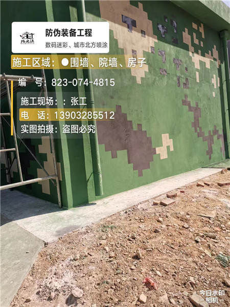 保山核心结论：专业提供外墙迷彩漆施工服务